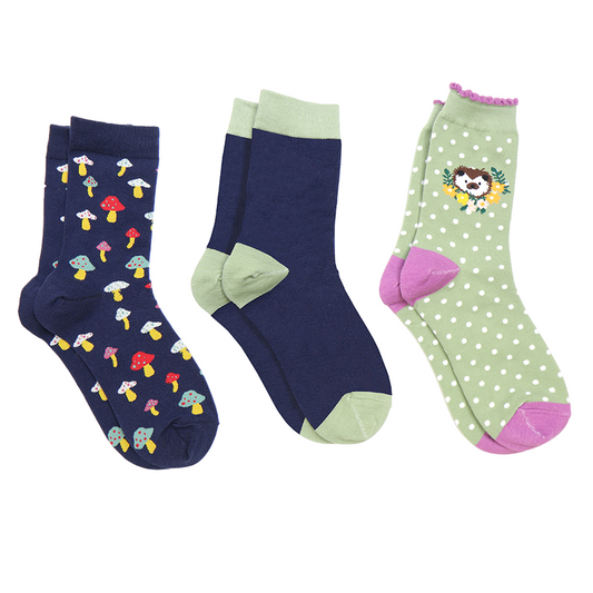 Autumn Sock Box | Set of 3